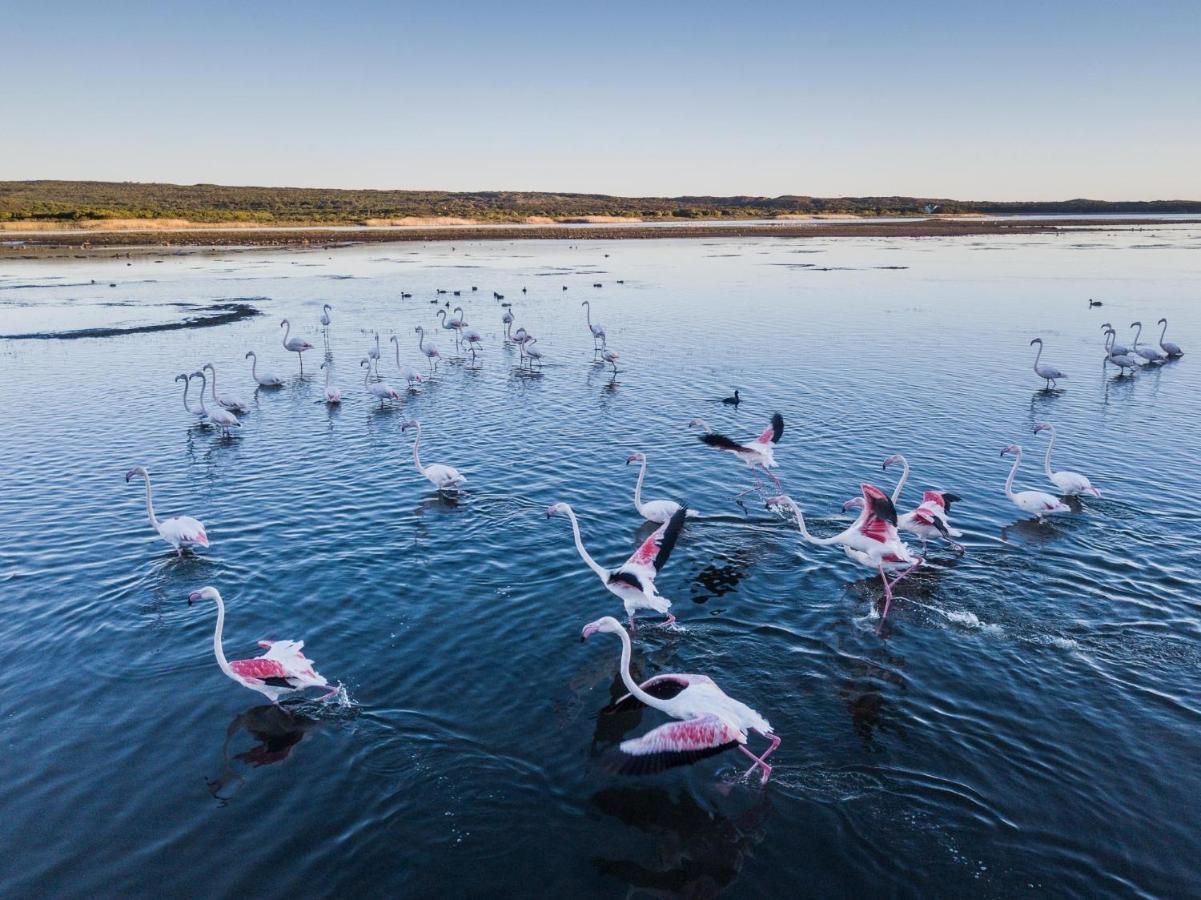Hotel Coot Club Stanford Zewnętrze zdjęcie
